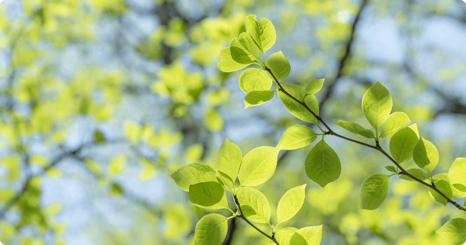 株式会社隆和会