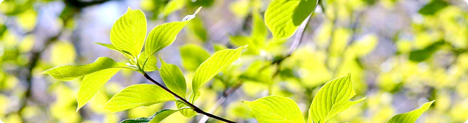 インフォメーション